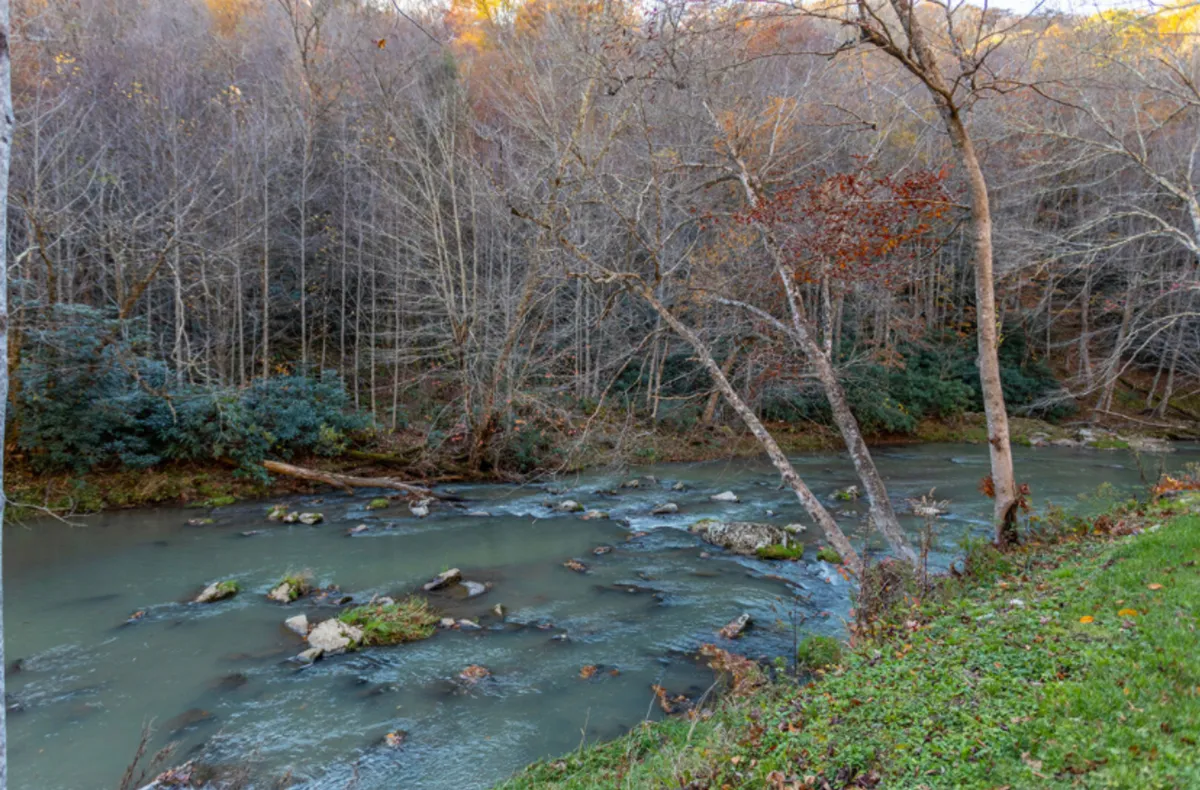 A serene stretch of the Banner Elk River winds through trees and rock formations, bathed in soft natural light. The riverbank is peaceful, inviting quiet walks, intimate conversations, and opportunities for world-class fishing. The lush greenery enhances the romantic, secluded atmosphere.